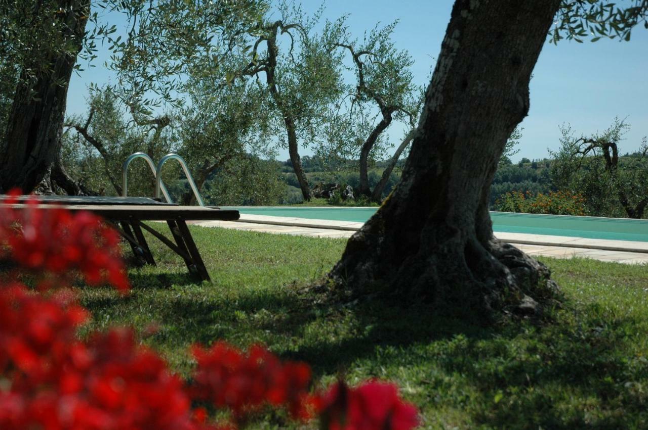 Agriturismo Le Querce Palaia Exterior photo
