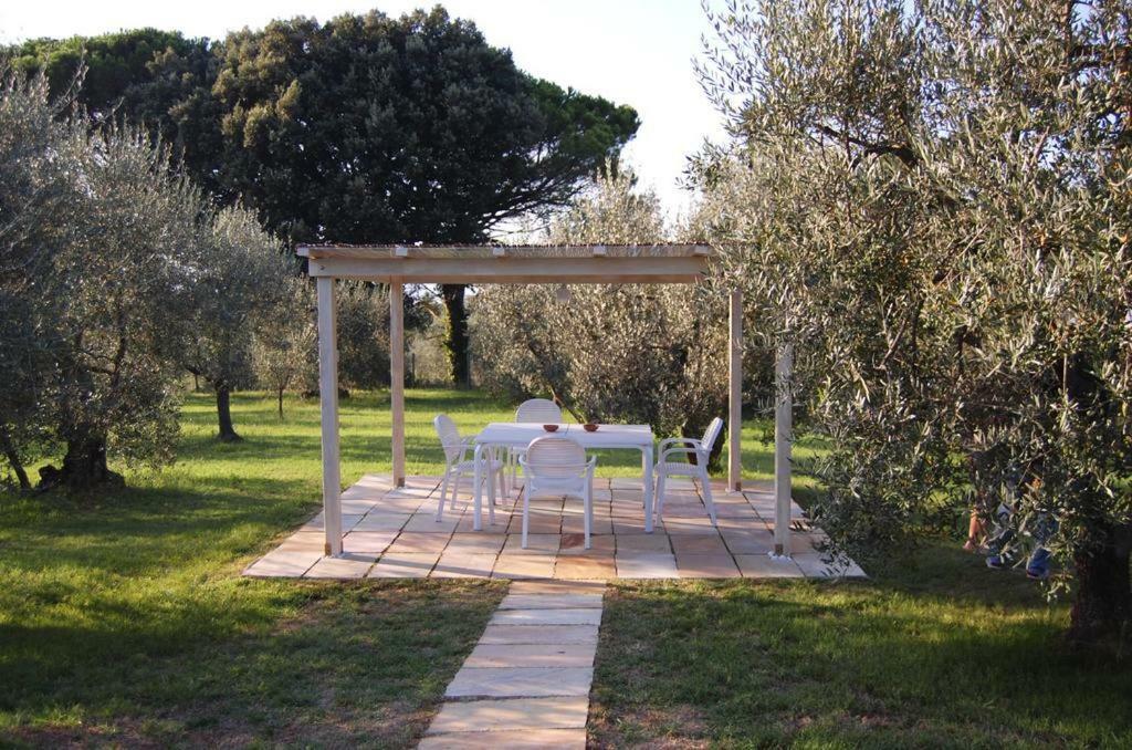 Agriturismo Le Querce Palaia Exterior photo